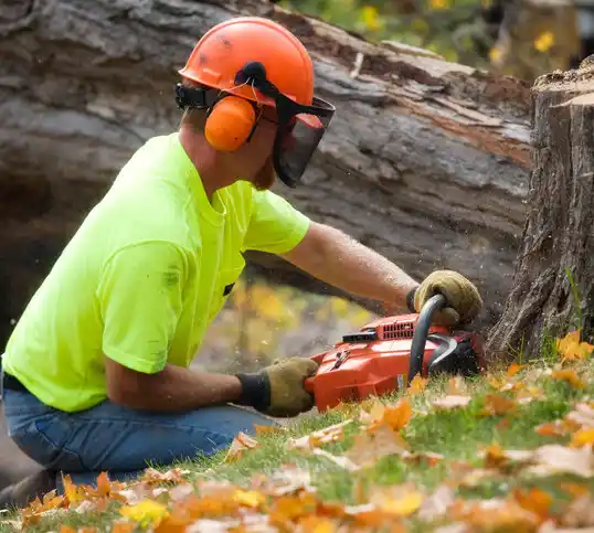 tree services Garner